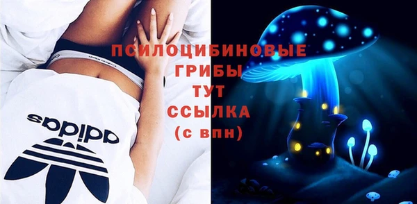 молекула духа Майский