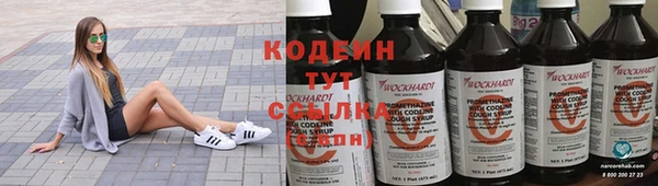 молекула духа Майский