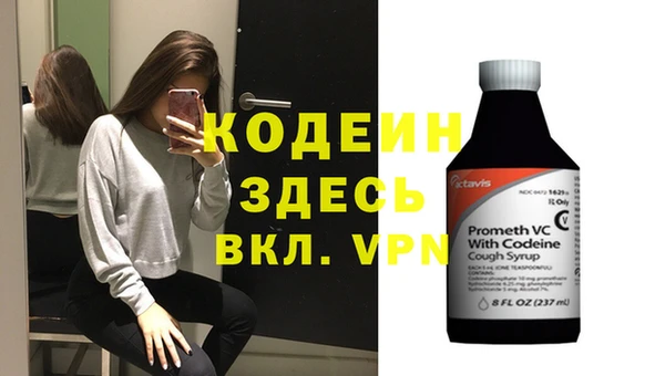молекула духа Майский