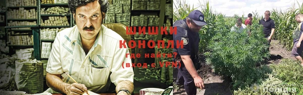 круглые Магас