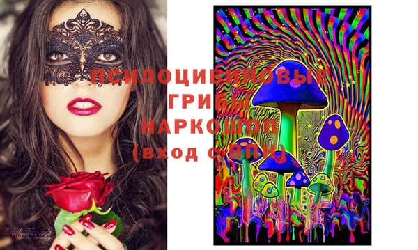 молекула духа Майский