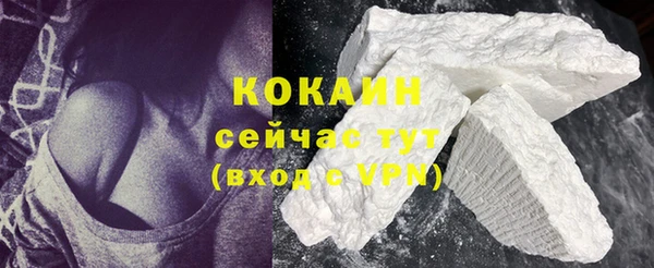 молекула духа Майский