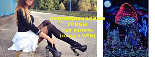 молекула духа Майский