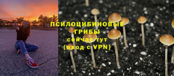 хмурый Магадан