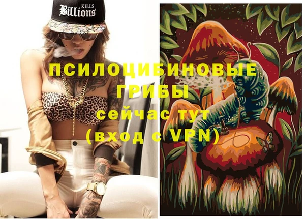круглые Магас