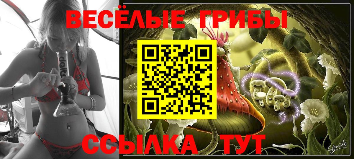 Галлюциногенные грибы Psilocybine cubensis Якутск