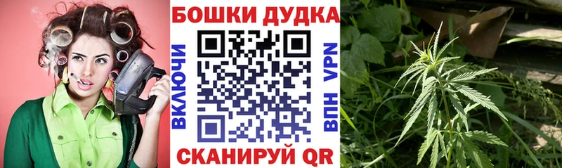 Канабис Amnesia  наркошоп  Якутск 